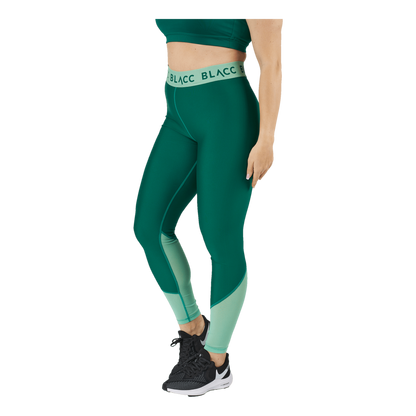 Mesh Tights Green / Green