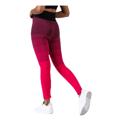 Gradient Seamless Tights Pink