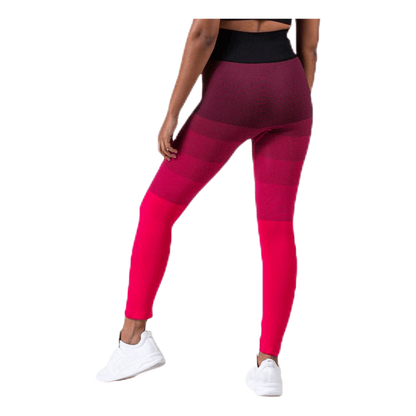 Gradient Seamless Tights Pink