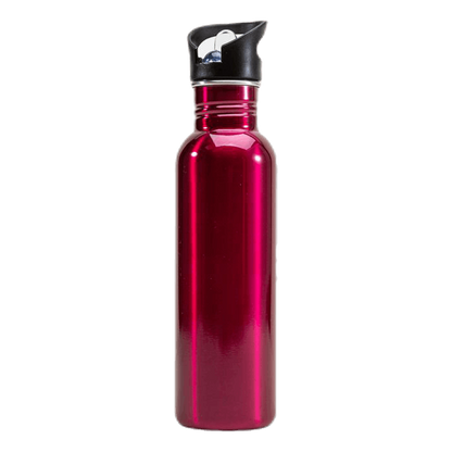 Steel Bottle 750ml Pink