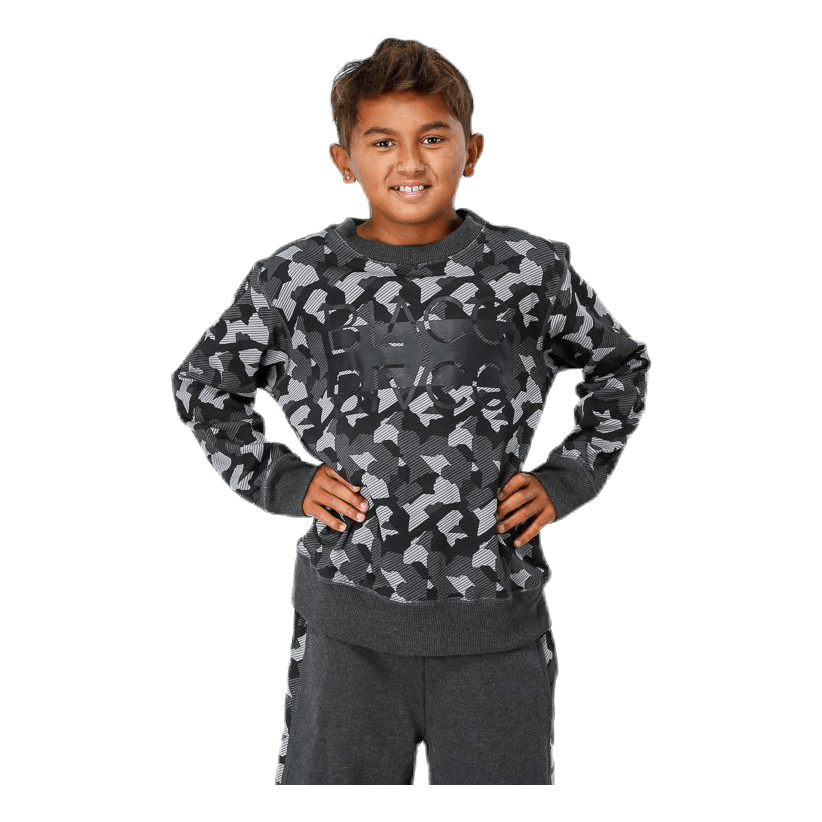 Junior Trevor Crewneck Patterned/Grey