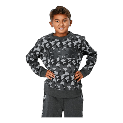 Junior Trevor Crewneck Patterned/Grey