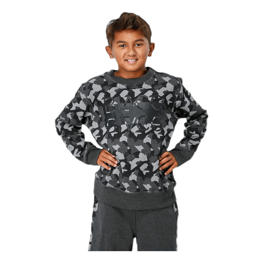 Junior Trevor Crewneck Patterned/Grey